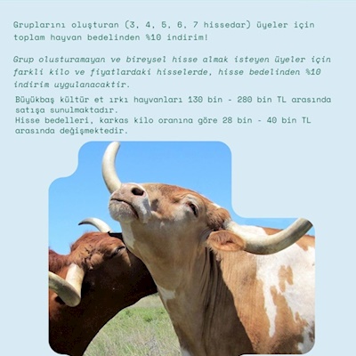 ERDİLER TARIM BESİ HAYVANCILIK